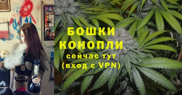 PSILOCYBIN Белоозёрский